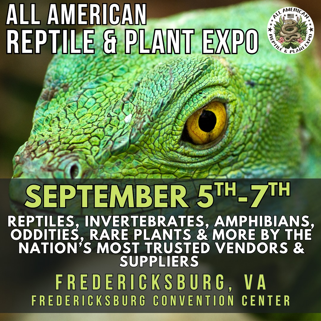 497846060_17906618334154607_2524717413619404032_n